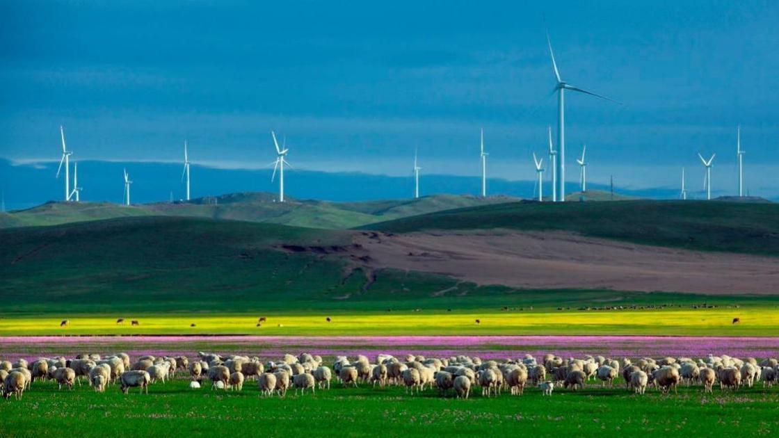 草原情深，蒙古包下的独白时刻