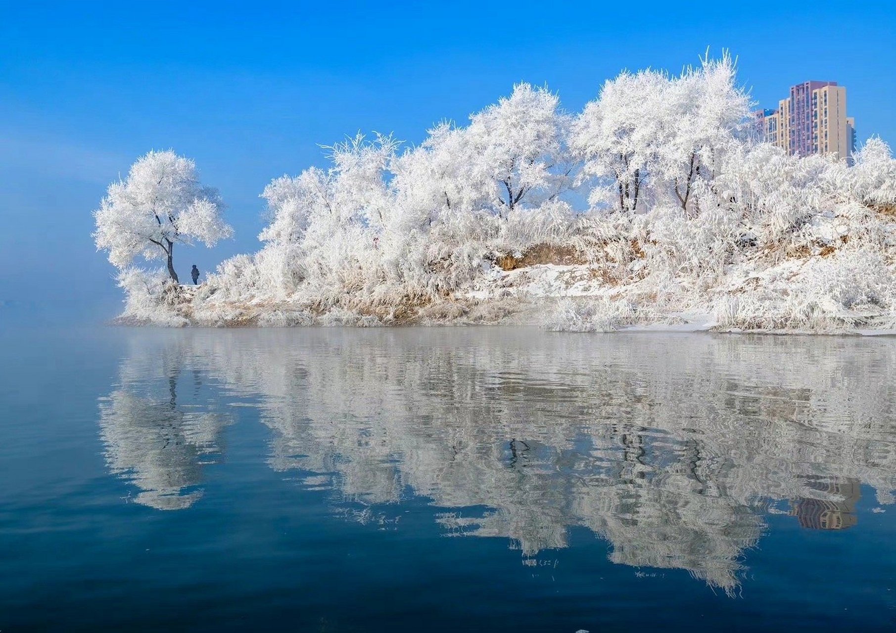 吉林之春，自信之花在吉林绽放