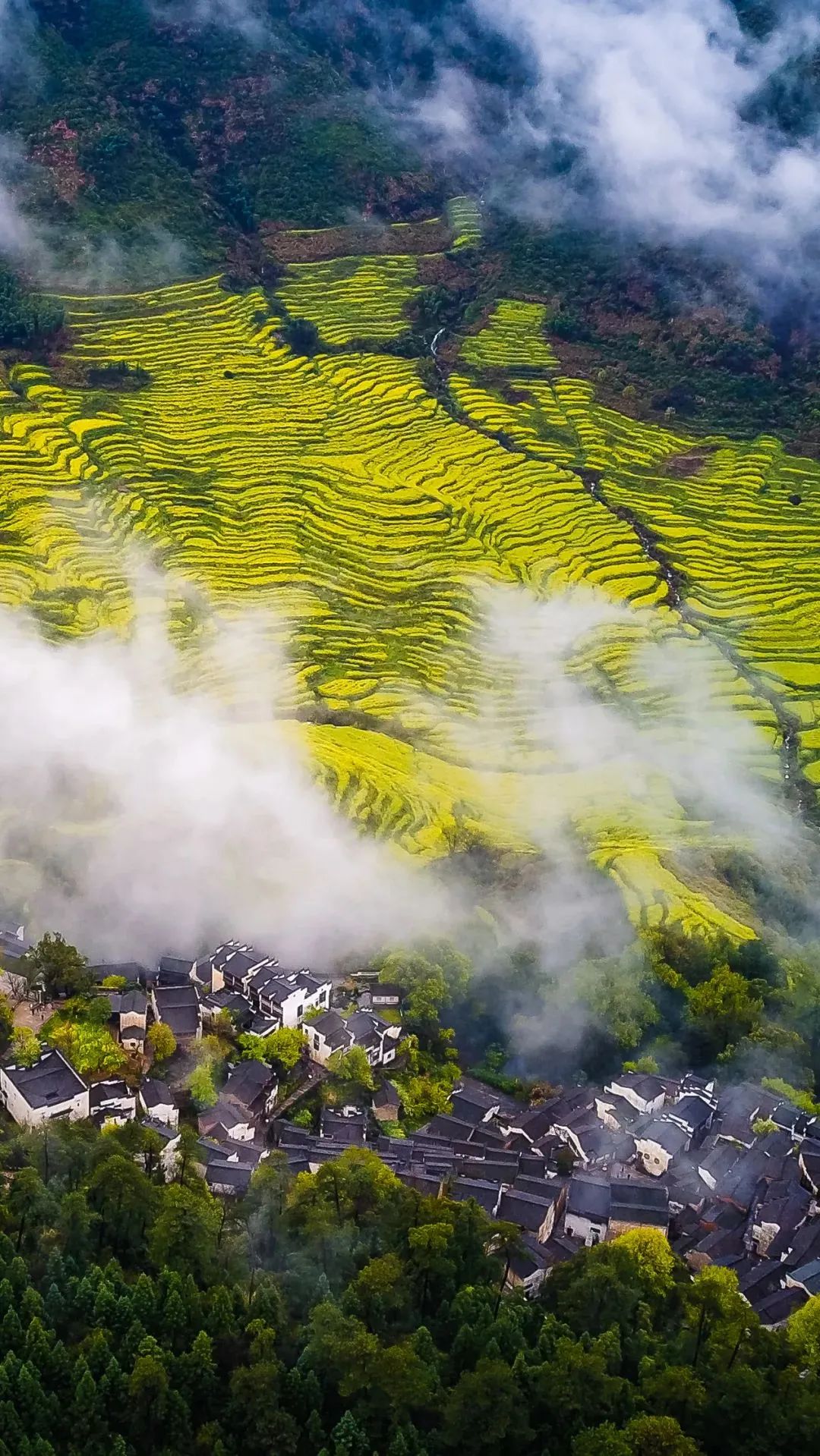 江西，红色记忆，绿色生态家园