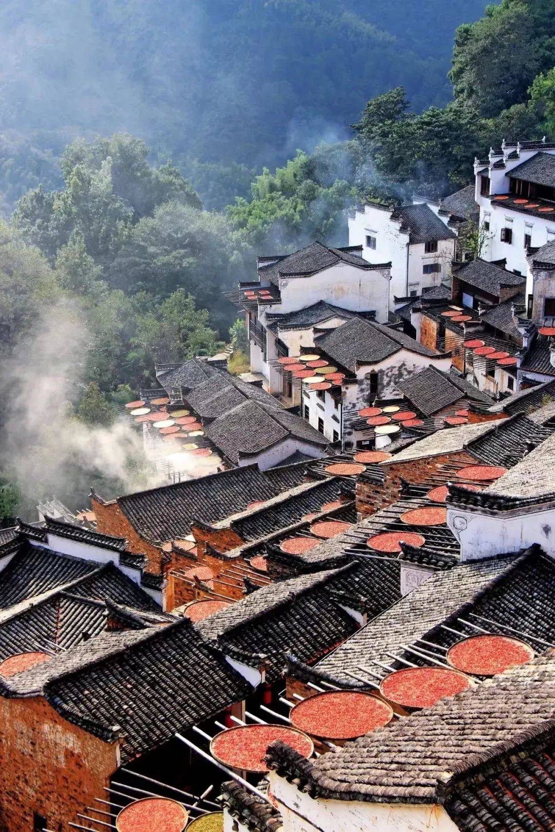 江西,红色记忆,绿色生态家园