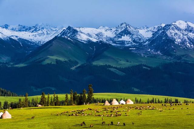 探寻新疆，美丽家园的绿色秘境🌿🏔️